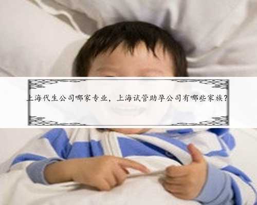 上海代生公司哪家专业，上海试管助孕公司有哪些家族？